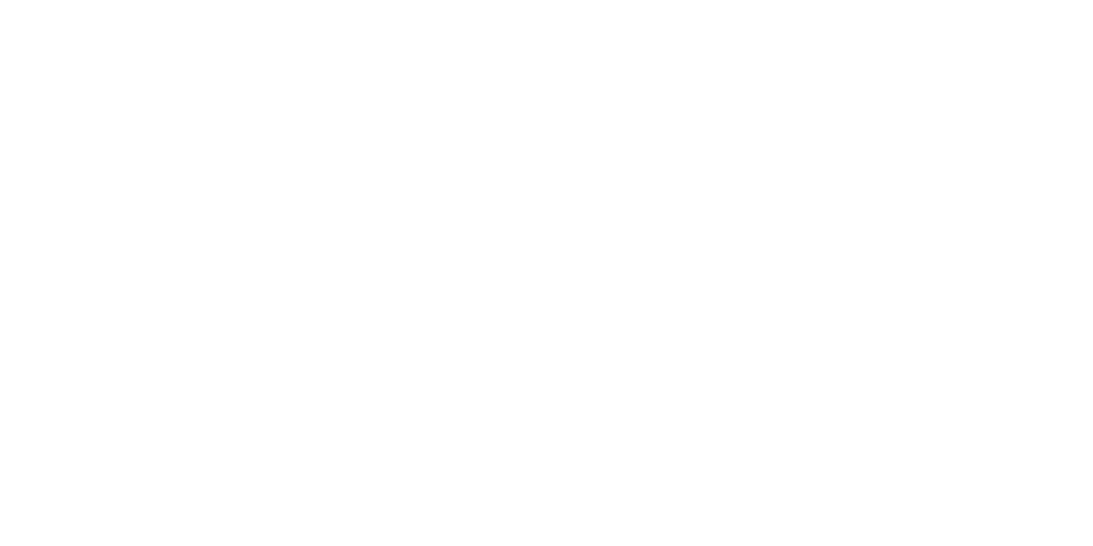 storch.png
